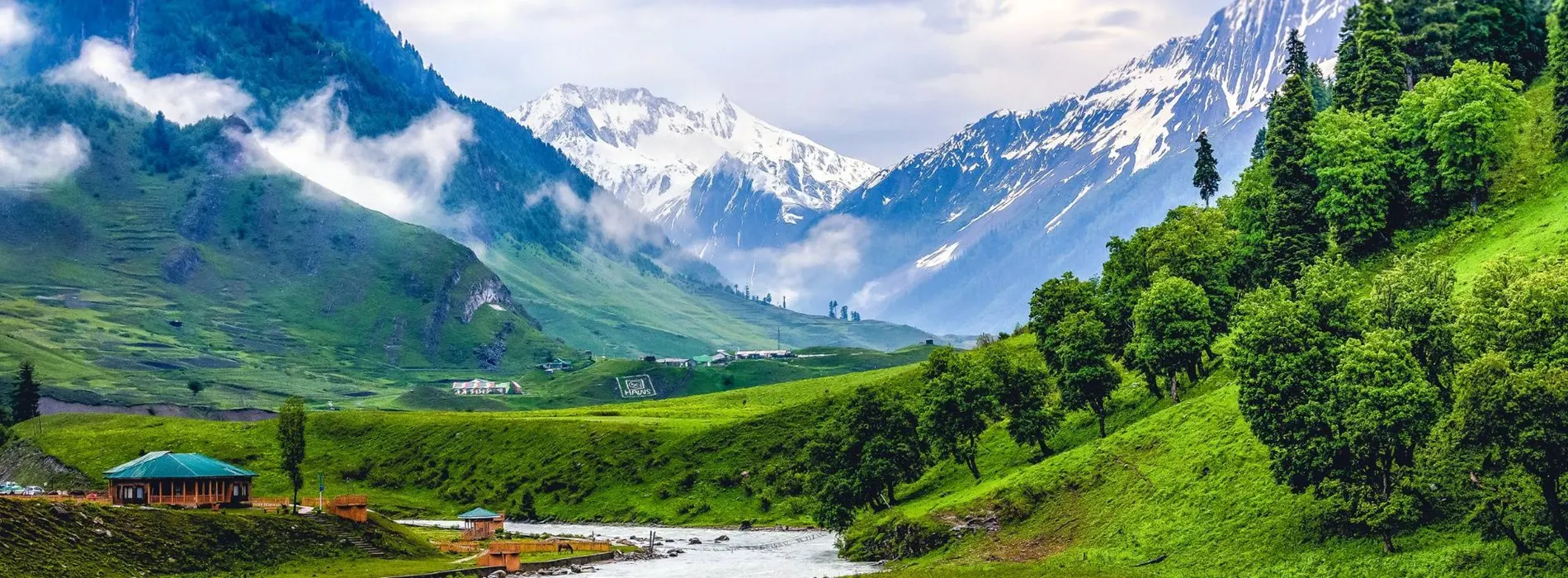 Zippgo Travels India Kashmir Tour