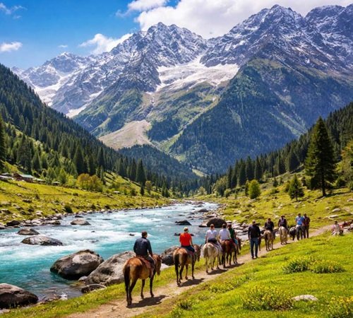 Travel Home Holidays