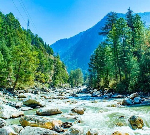 Zippgo Travels India
